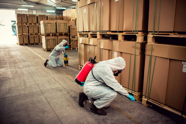 Flea Control Services in Springdale, PA