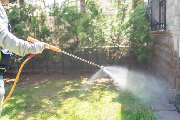 Best Affordable Pest Control Services  in Springdale, PA