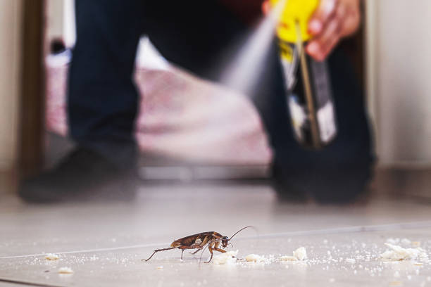 Best Emergency Pest Control  in Springdale, PA